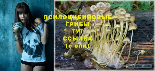 герыч Алексин
