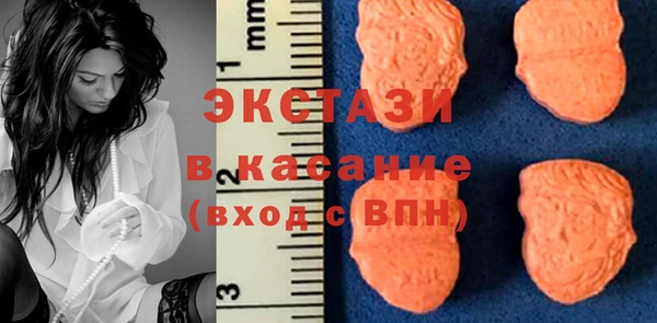 крисы Корсаков