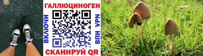 гидра вход  Оленегорск  Псилоцибиновые грибы Magic Shrooms 